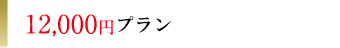 12,000円プラン